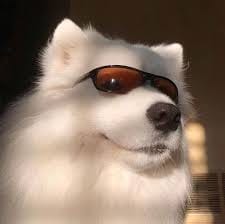 Lê Thùy Lâm avatar