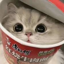 Trần Tiến Đạt avatar